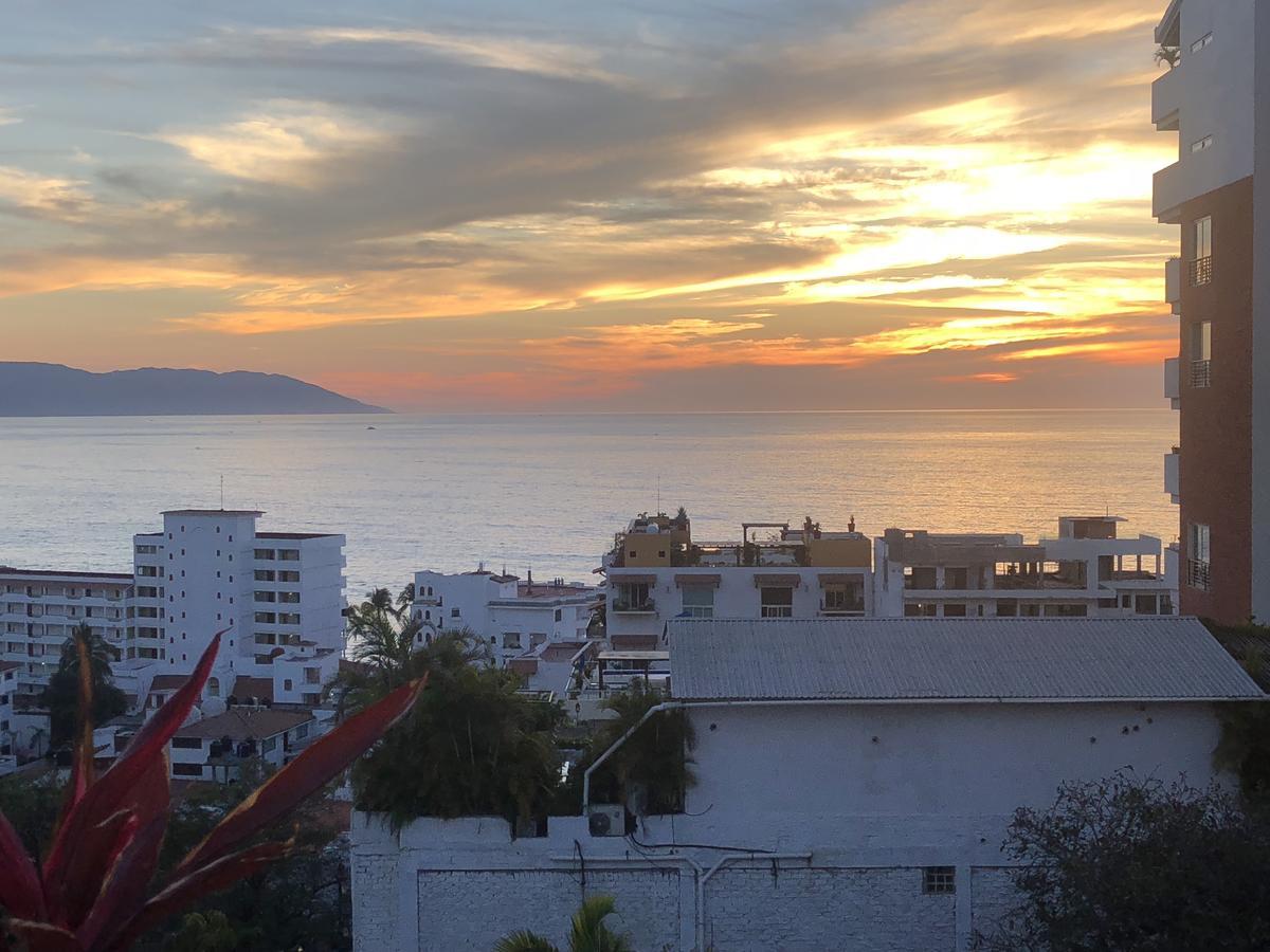 Hotel Amaca Puerto Vallarta - Adults Only エクステリア 写真